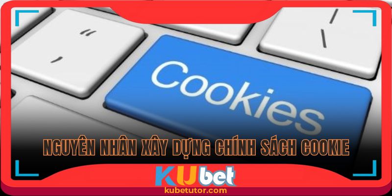 Cập nhật cụ thể nguyên nhân xây dựng chính sách 