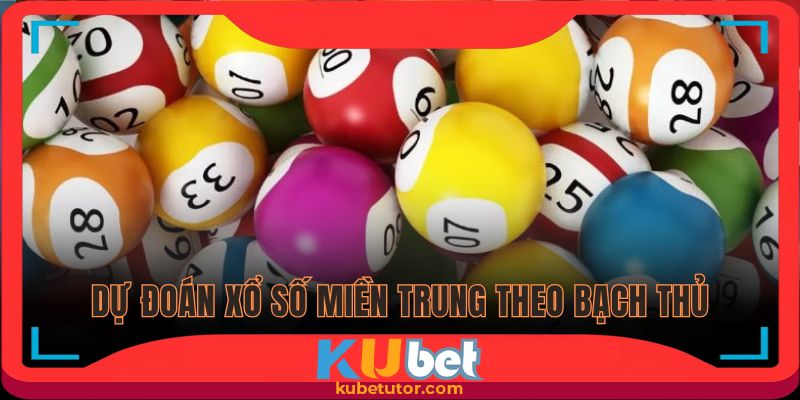 Dự đoán XSMT chuẩn theo bạch thủ