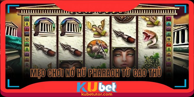 Sử dụng các vòng quay miễn phí tăng cơ hội thắng cược
